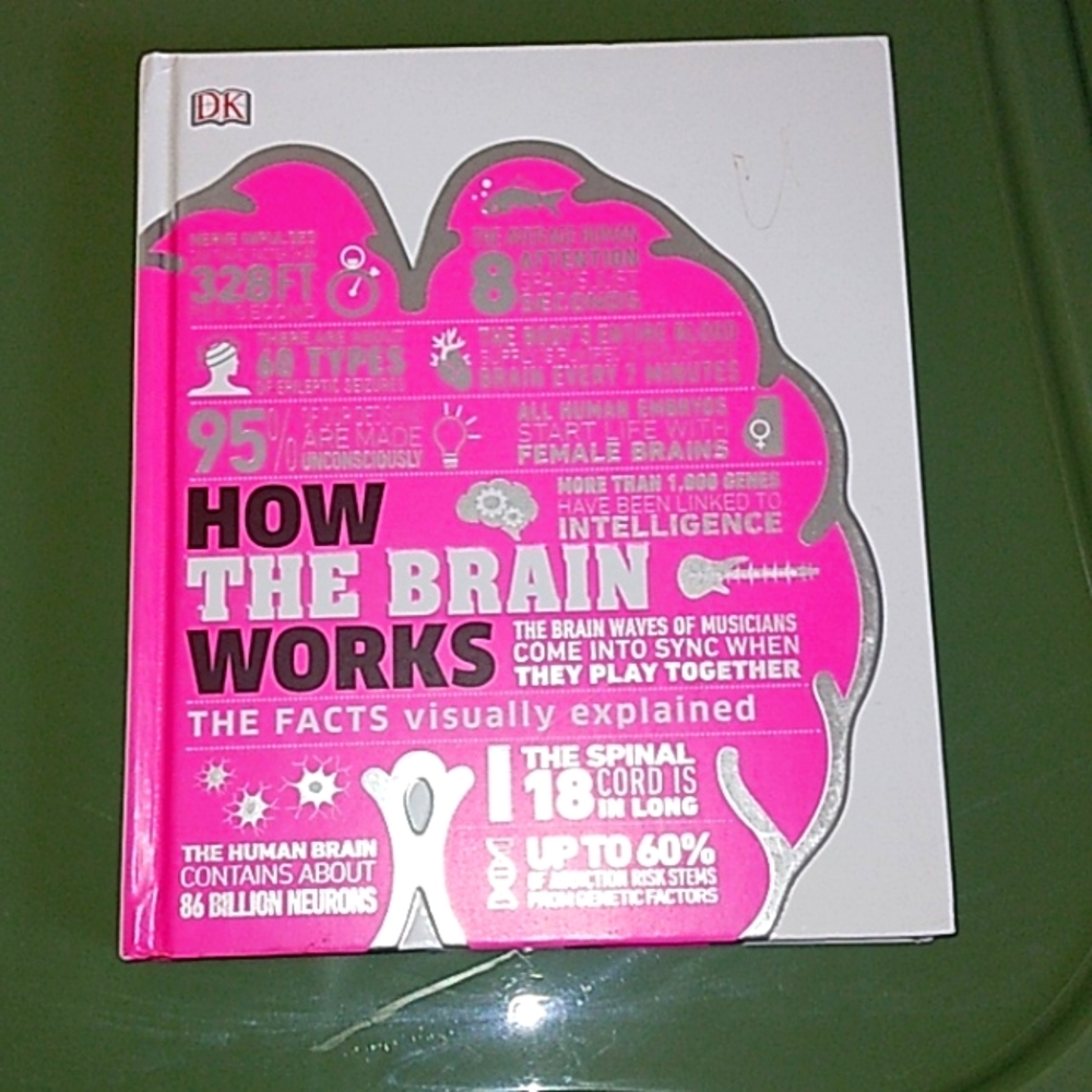 HOW THE BRAIN WORKS: THE FACTS visually explained (First American edition, 2020)